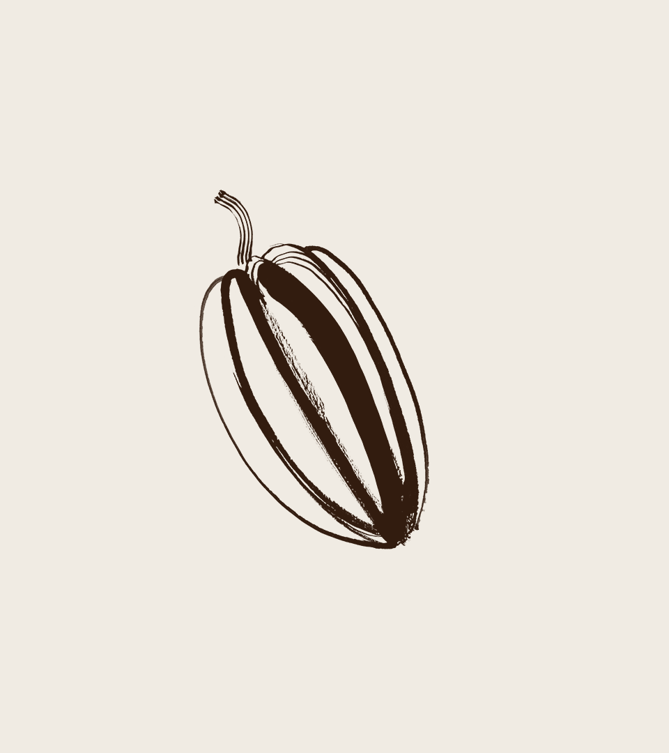 Dela Crem Mucho Branding Illustrations
