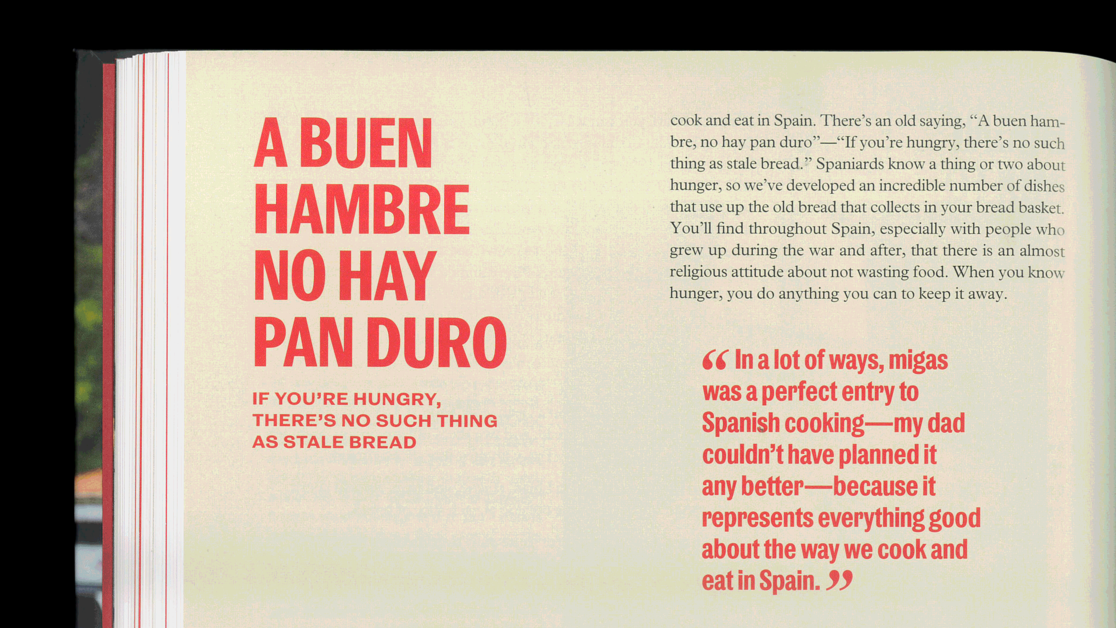 Spain My Way Cookbook Design Mucho Text